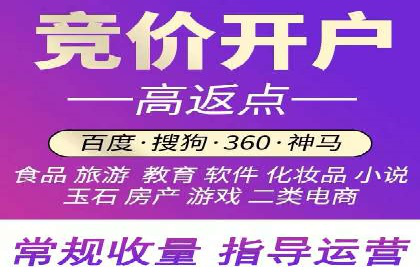 sem托管服务案例：如何实现广告投放精准化